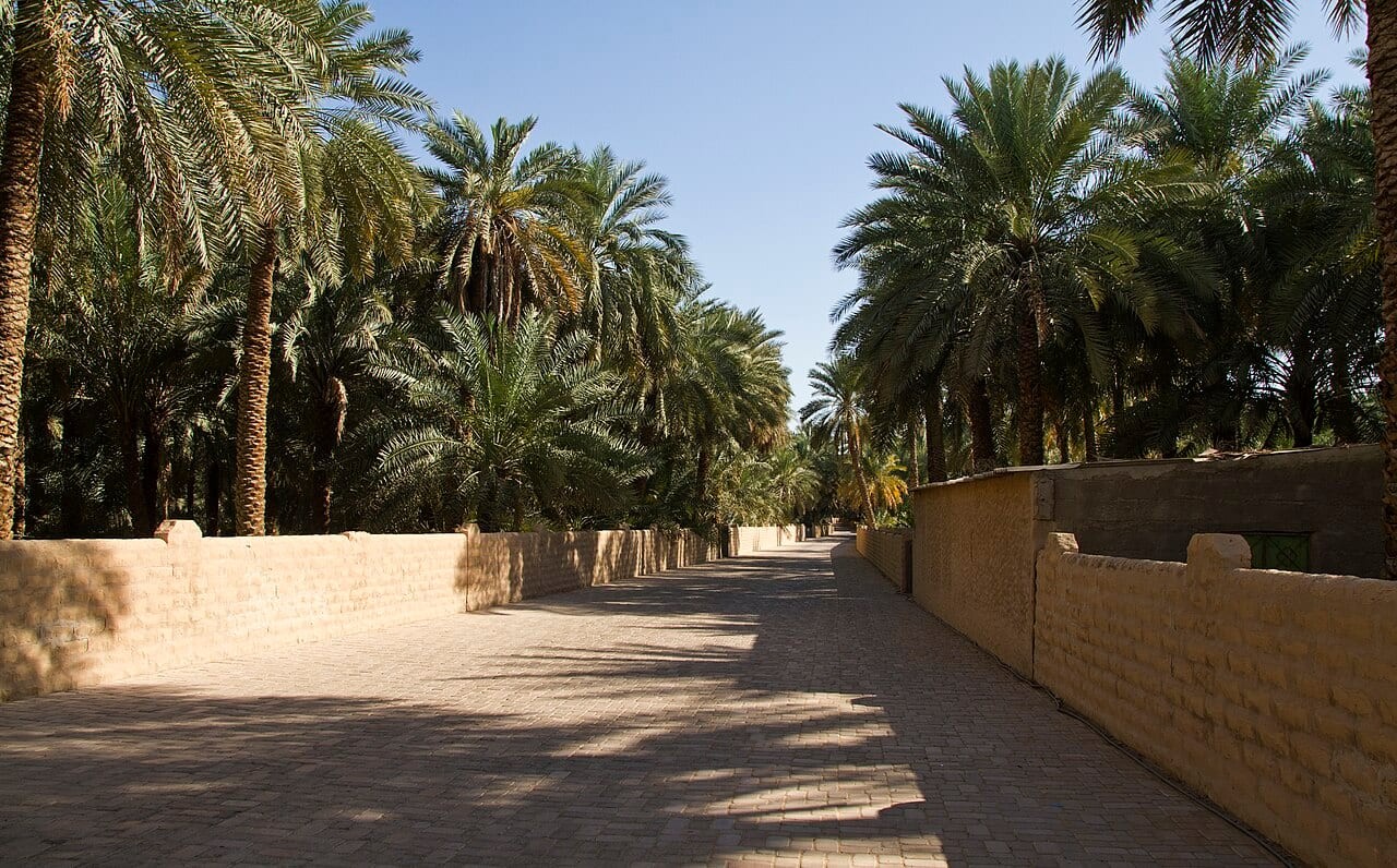 Al Towayya