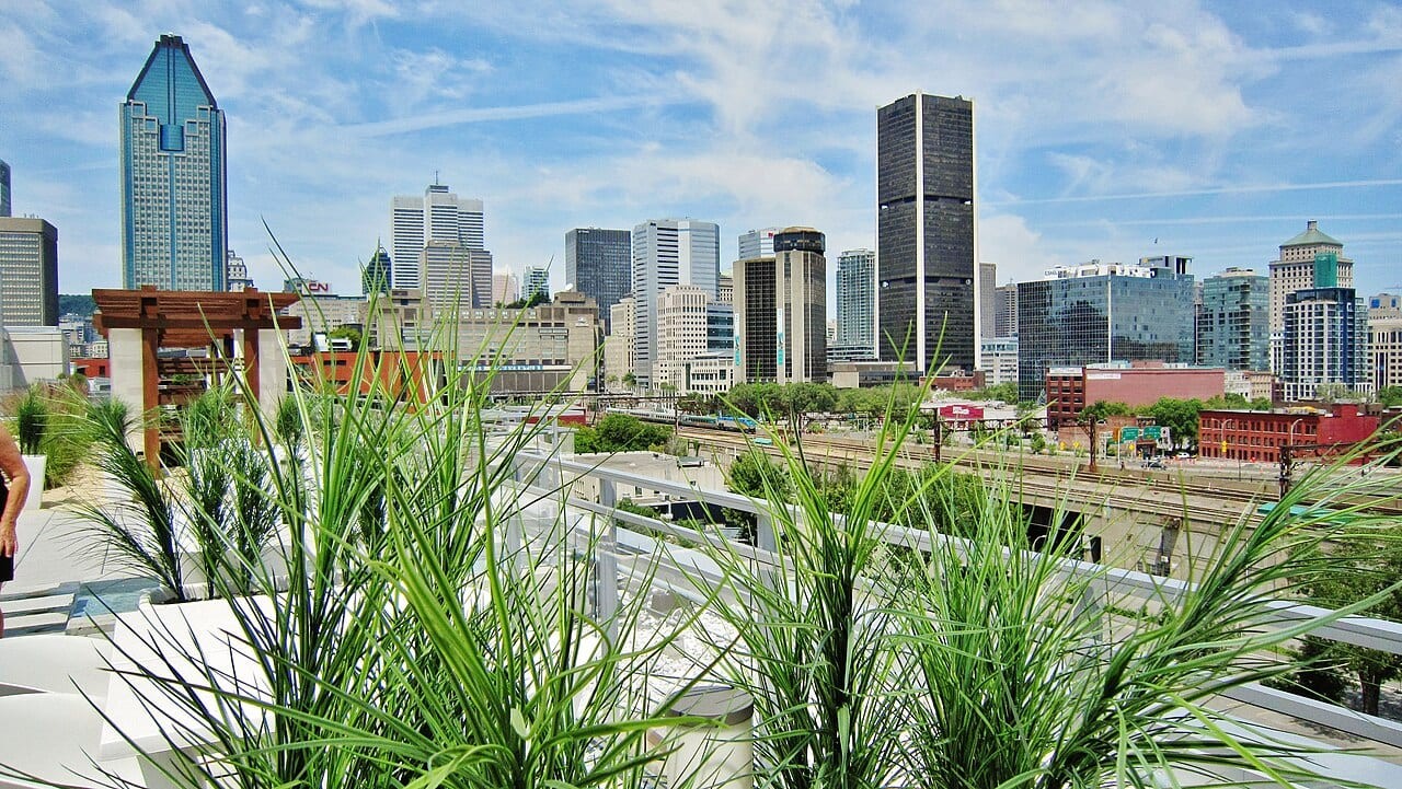 Griffintown
