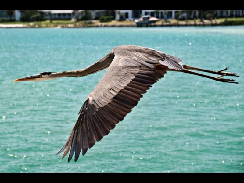 Longboat Key
